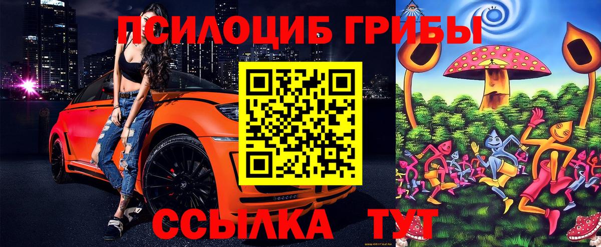 хочу   Галлюциногенные грибы Psilocybe  Вход с VPN  Горно-Алтайск 