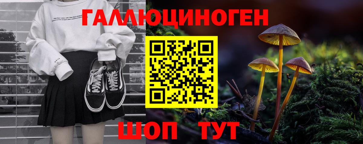 Псилоцибиновые грибы Psilocybine cubensis Горно-Алтайск